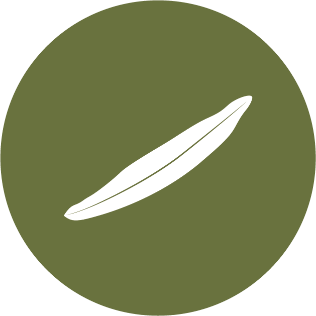 Innu-aimun